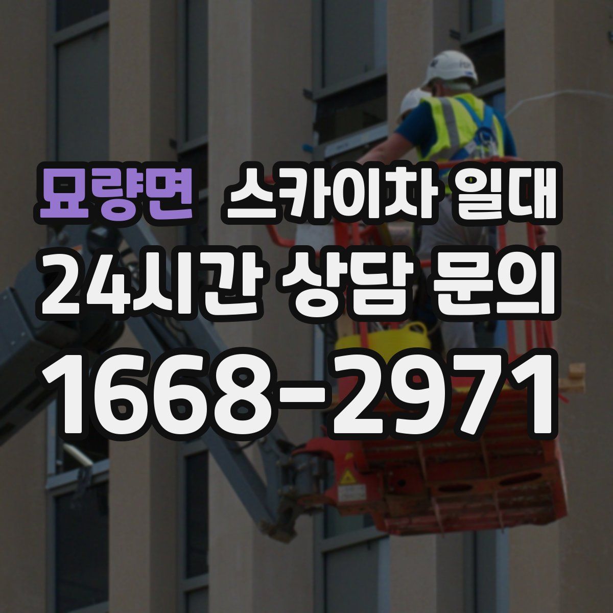묘량면 스카이차 일대