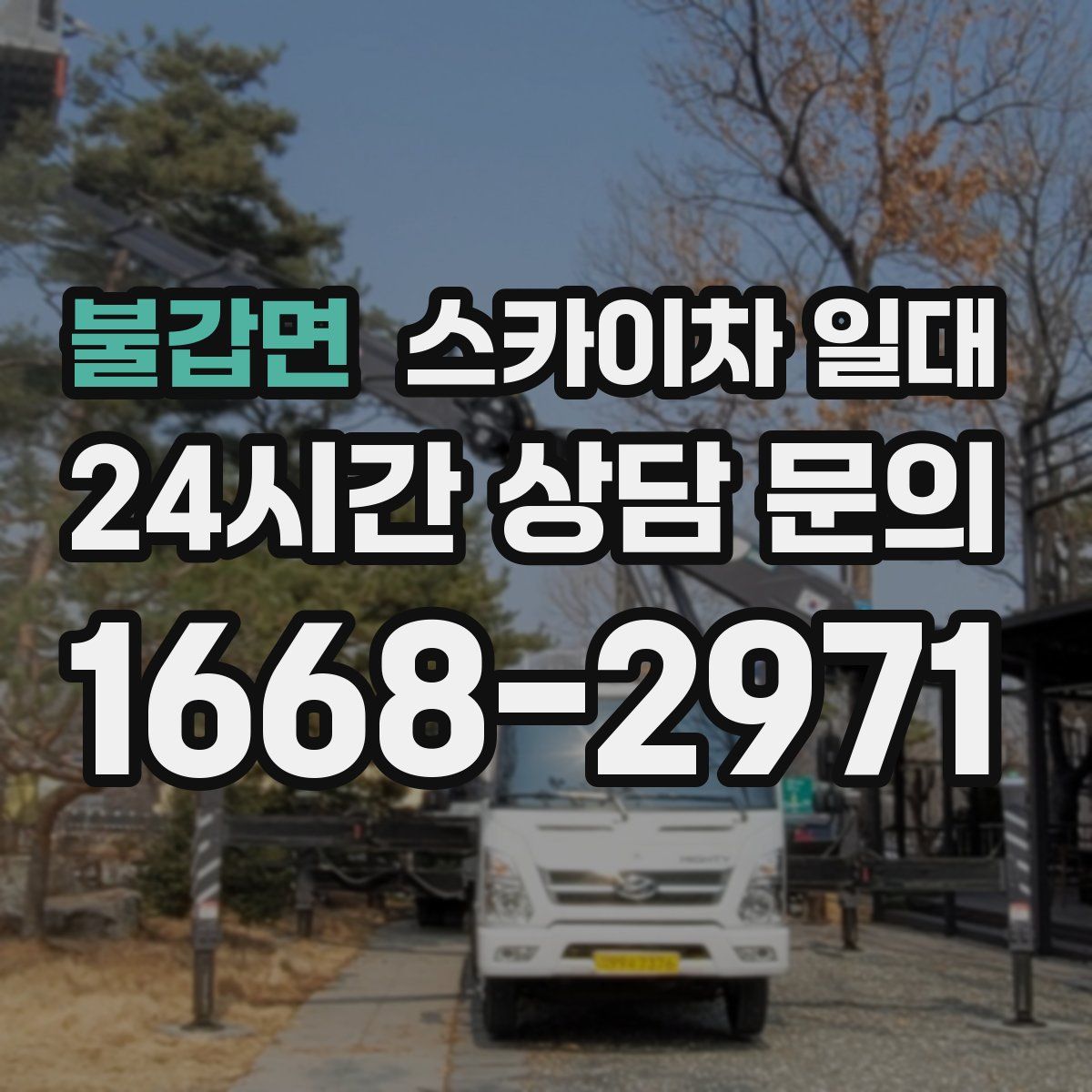 불갑면 스카이차 일대