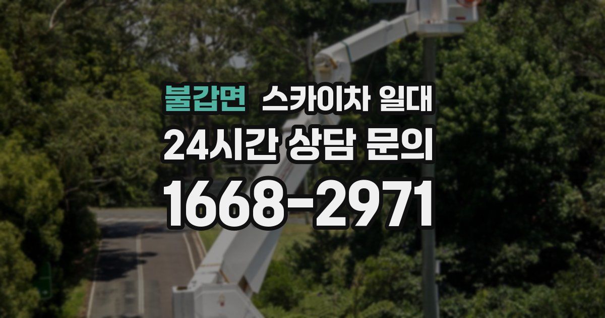 불갑면 스카이차 일대