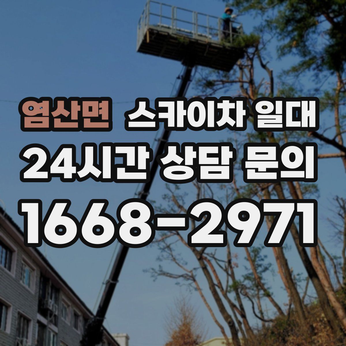 염산면 스카이차 일대