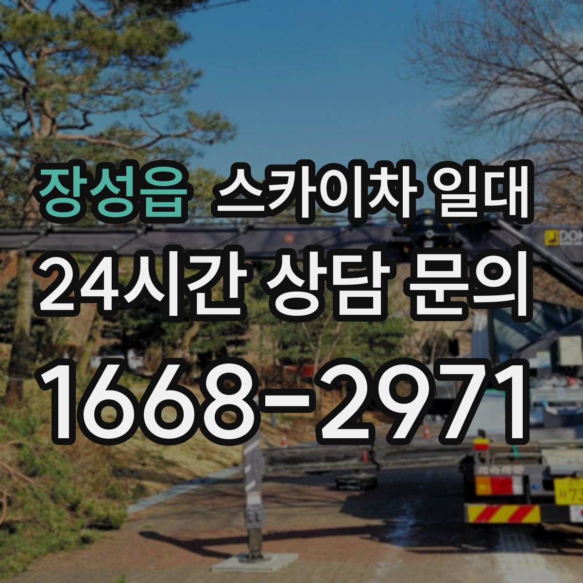 장성읍 스카이차 일대