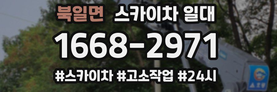 북일면 스카이차 일대