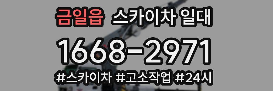 금일읍 스카이차 일대