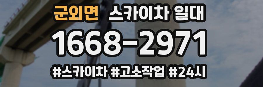 군외면 스카이차 일대