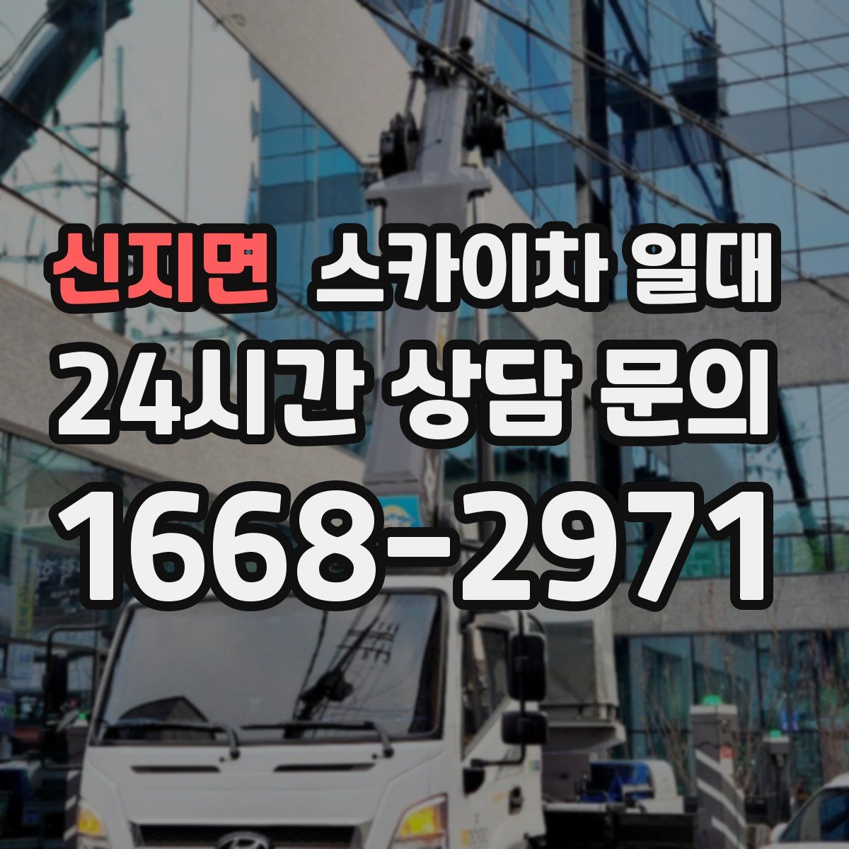 신지면 스카이차 일대