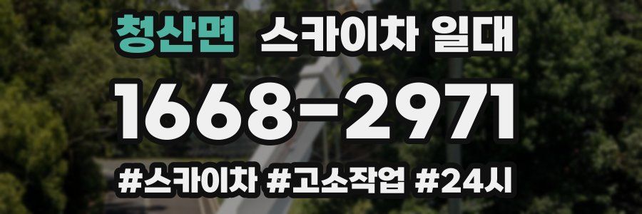 청산면 스카이차 일대