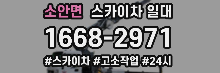 소안면 스카이차 일대
