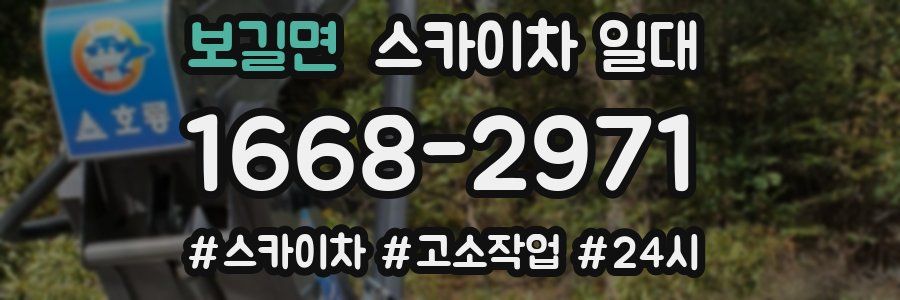 보길면 스카이차 일대