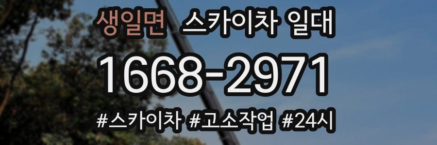 생일면 스카이차 일대