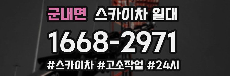 군내면 스카이차 일대