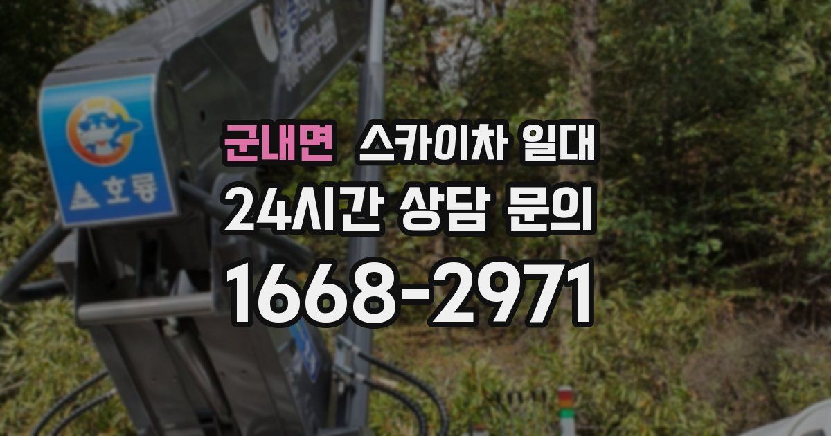 군내면 스카이차 일대