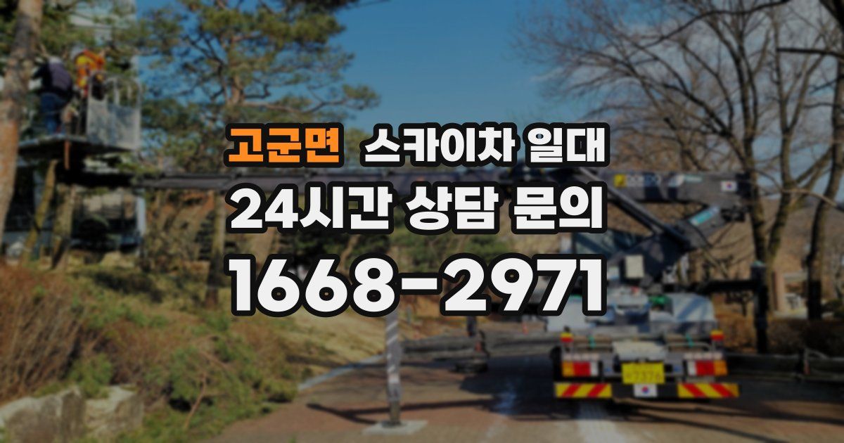 고군면 스카이차 일대