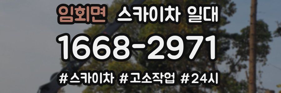 임회면 스카이차 일대