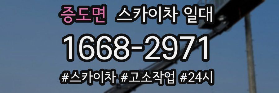 증도면 스카이차 일대