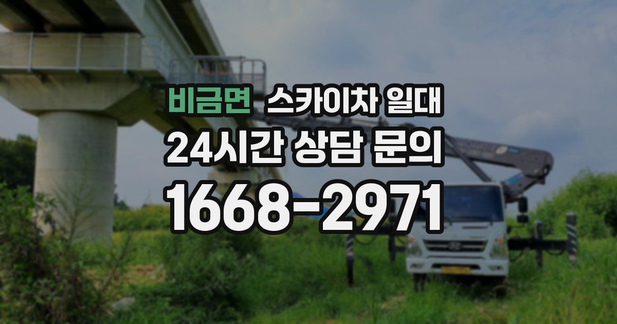 비금면 스카이차 일대