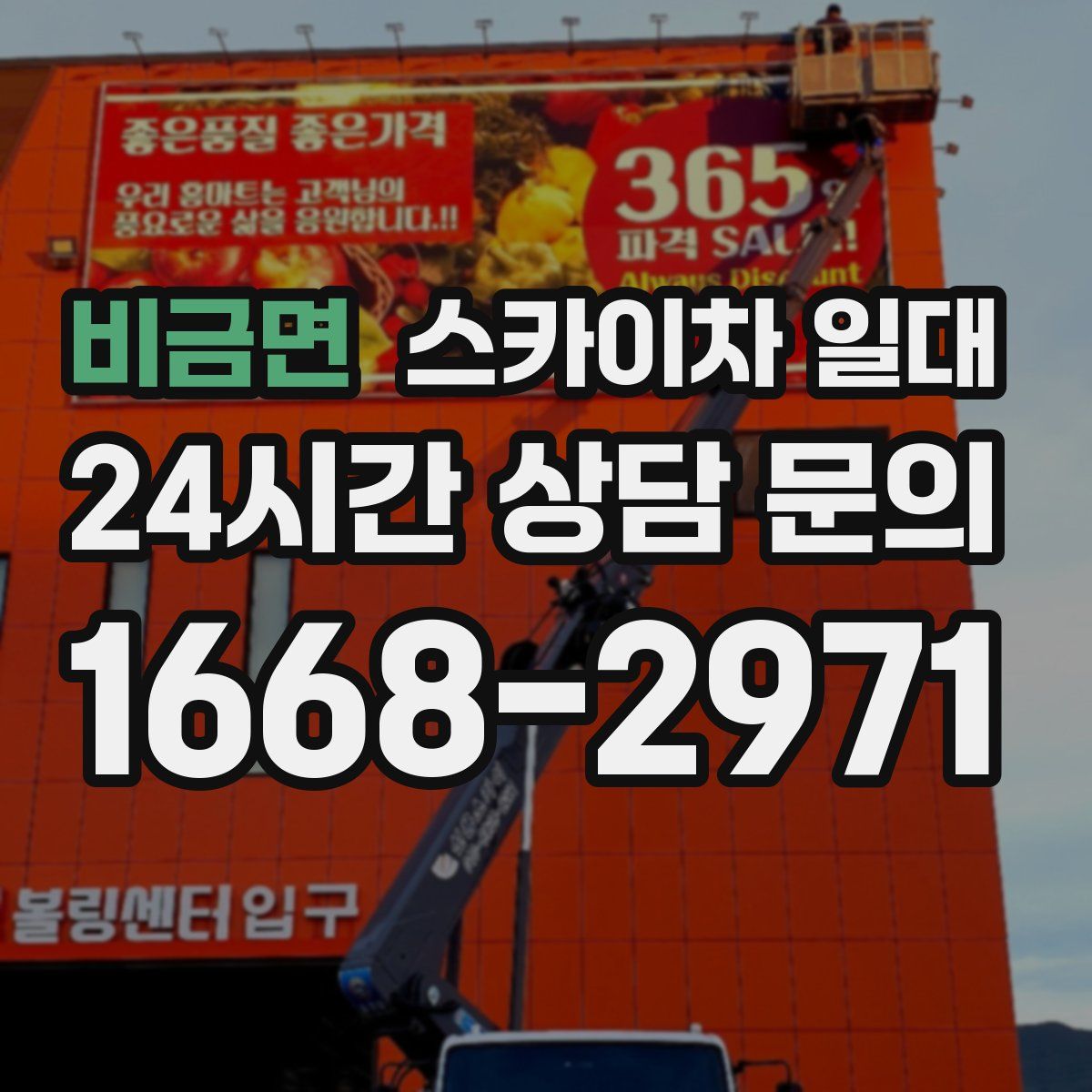 비금면 스카이차 일대