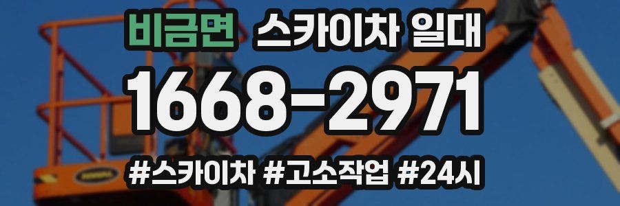 비금면 스카이차 일대