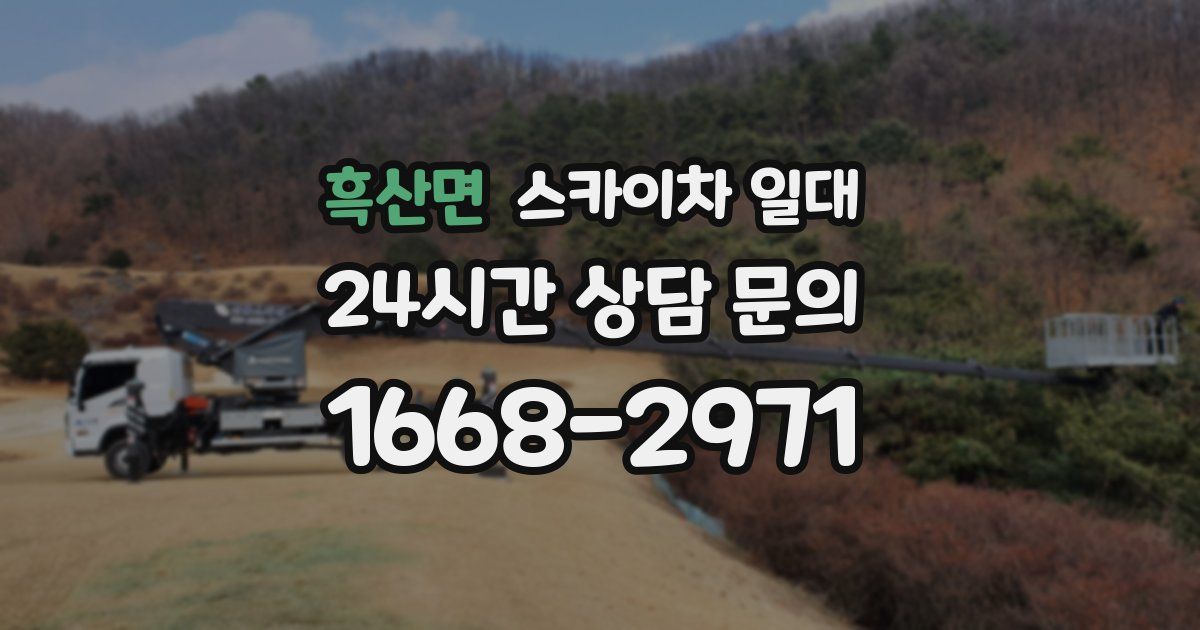 흑산면 스카이차 일대