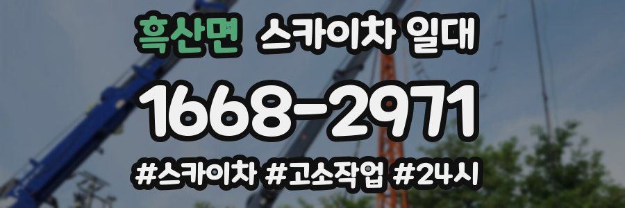 흑산면 스카이차 일대