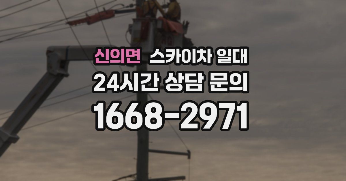 신의면 스카이차 일대
