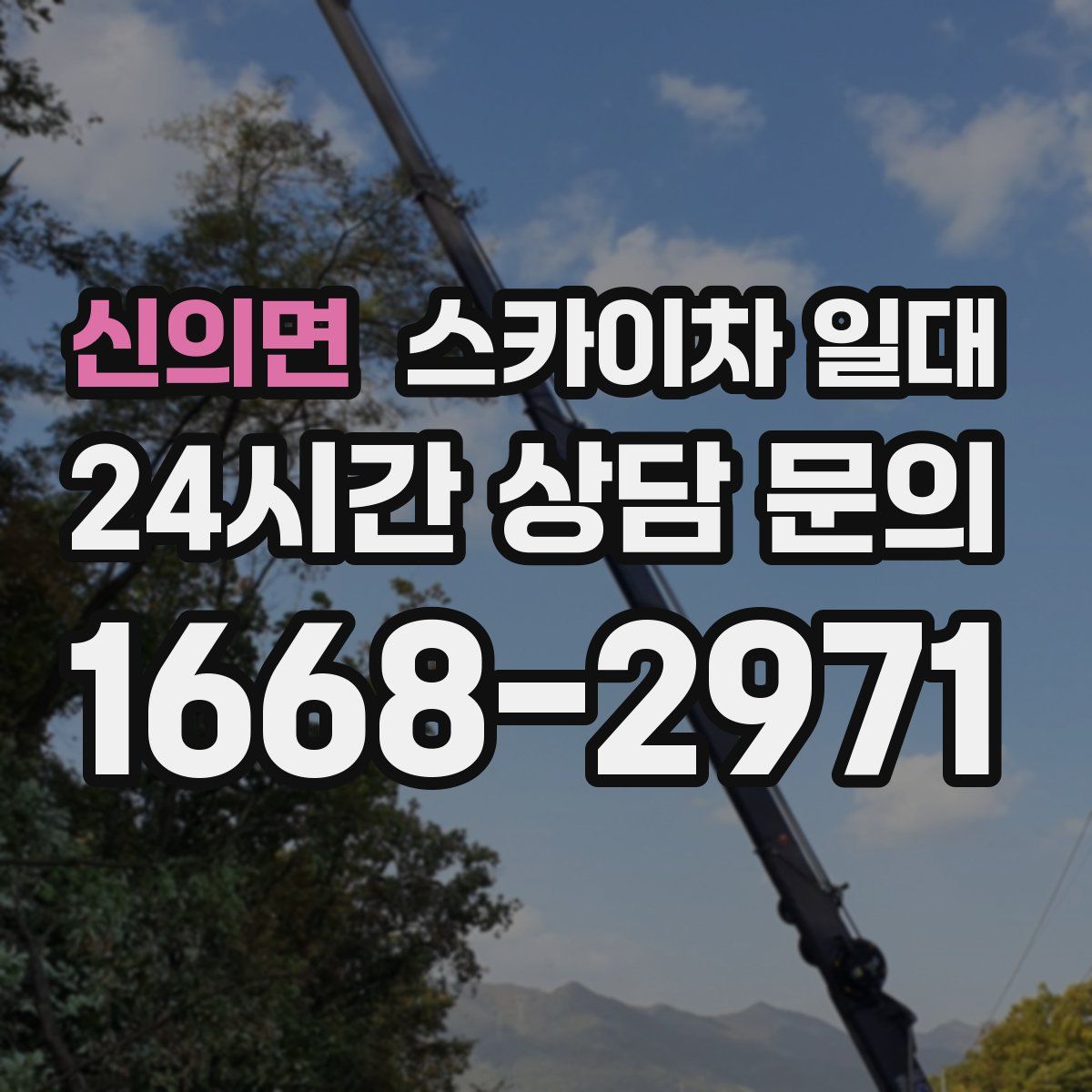 신의면 스카이차 일대