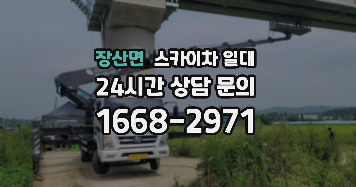 장산면 스카이차 일대