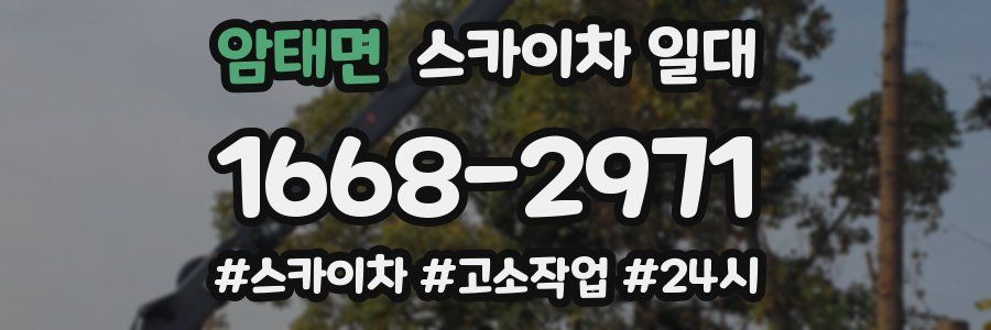 암태면 스카이차 일대