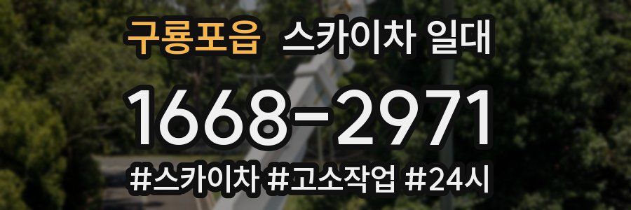 구룡포읍 스카이차 일대