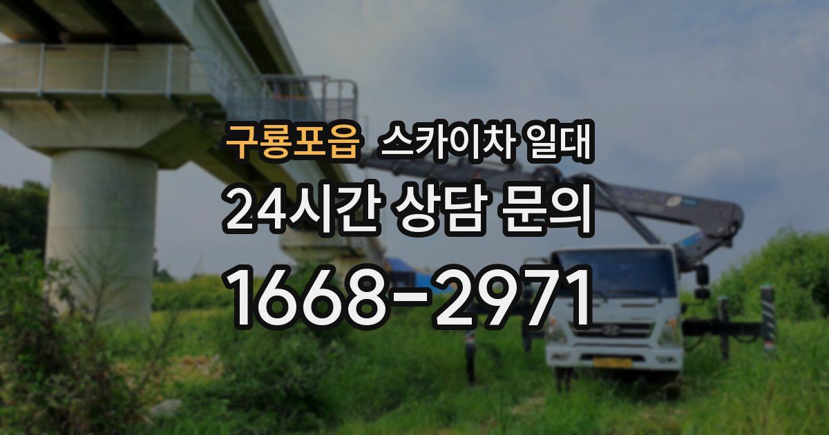 구룡포읍 스카이차 일대