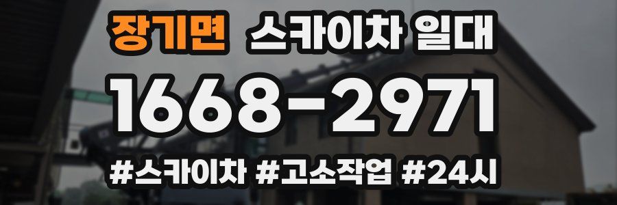 장기면 스카이차 일대