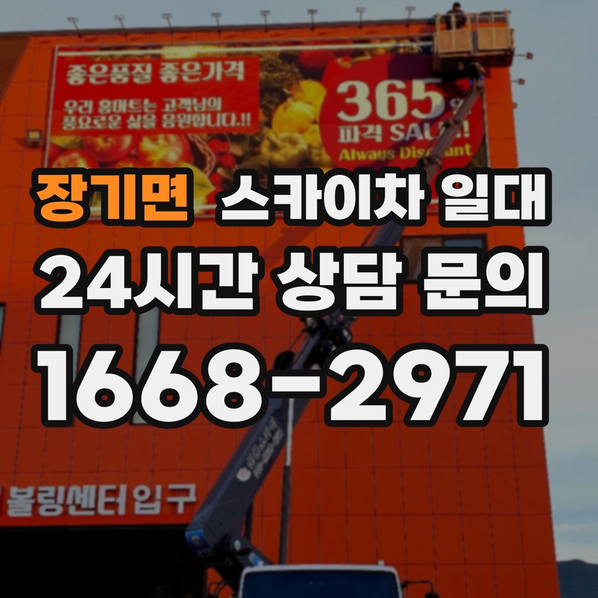 장기면 스카이차 일대
