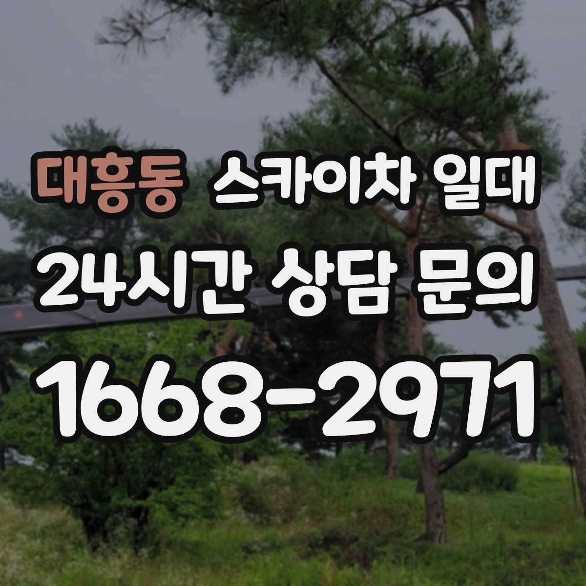 대흥동 스카이차 일대