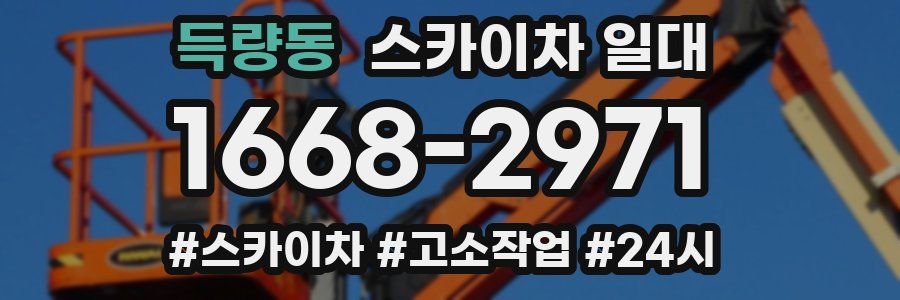 득량동 스카이차 일대