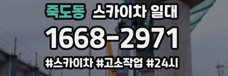 죽도동 스카이차 일대