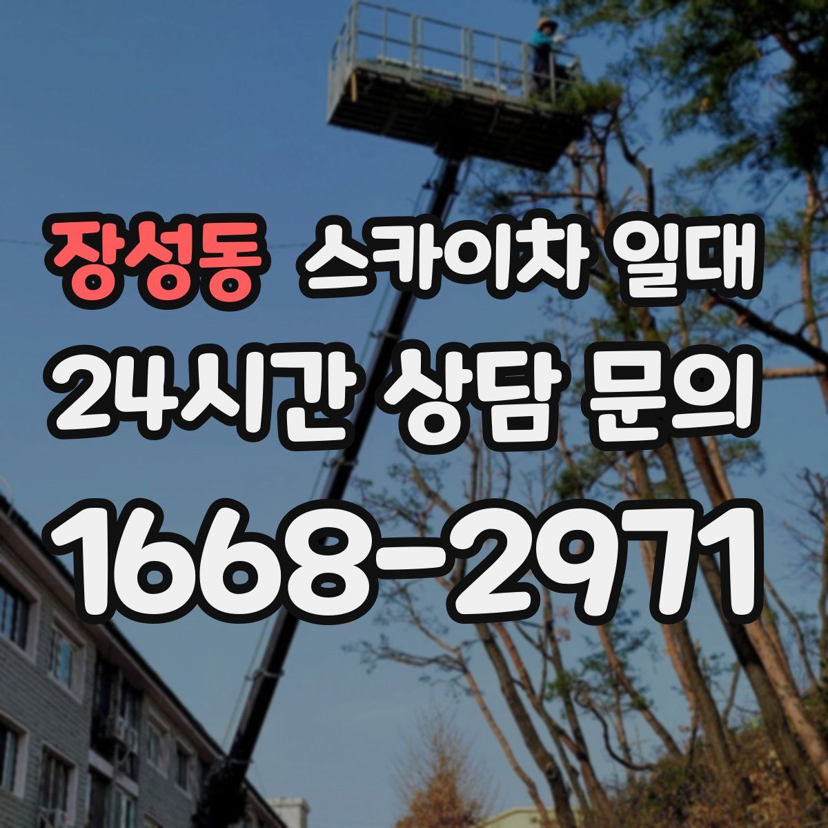 장성동 스카이차 일대