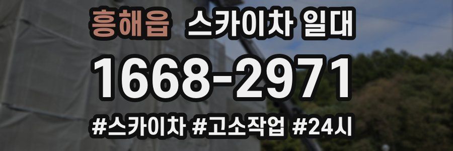 흥해읍 스카이차 일대