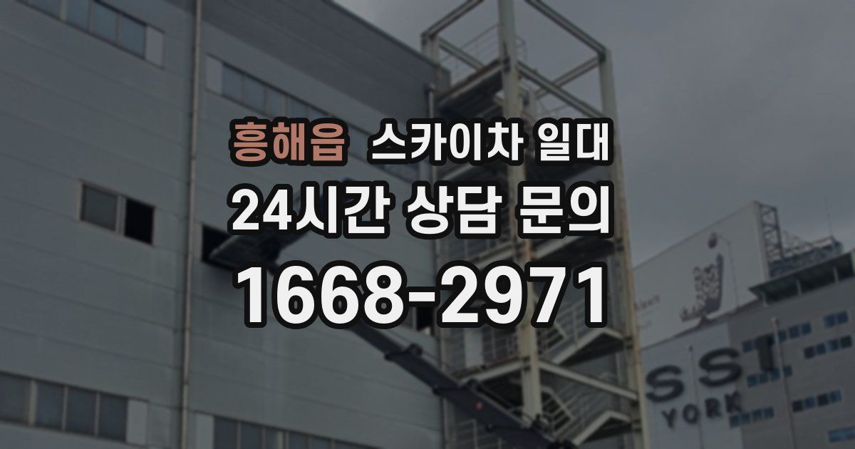 흥해읍 스카이차 일대