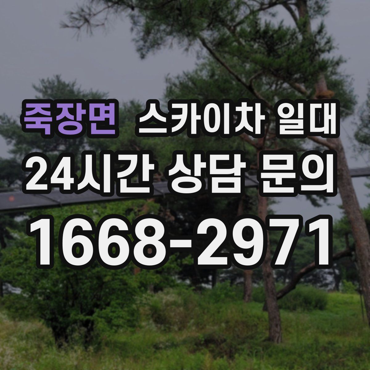 죽장면 스카이차 일대