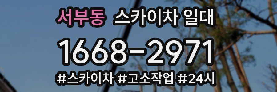 서부동 스카이차 일대