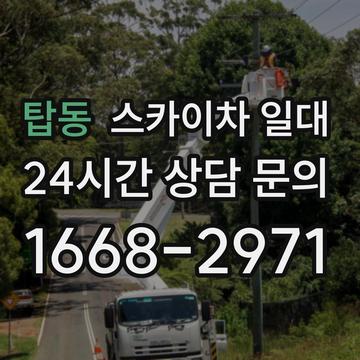탑동 스카이차 일대