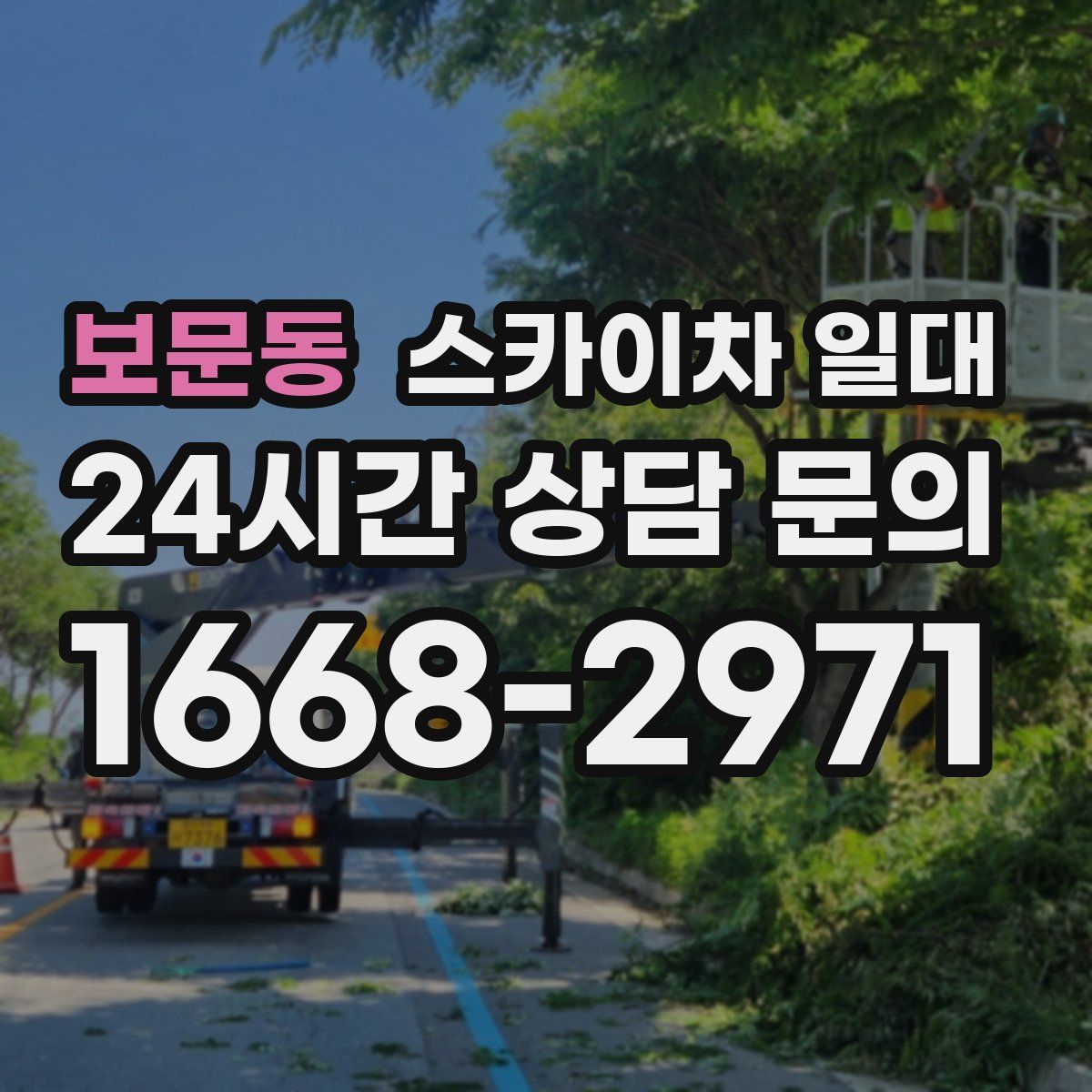 보문동 스카이차 일대