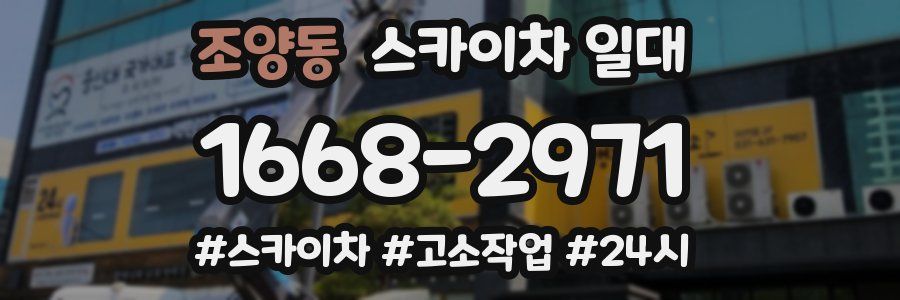 조양동 스카이차 일대