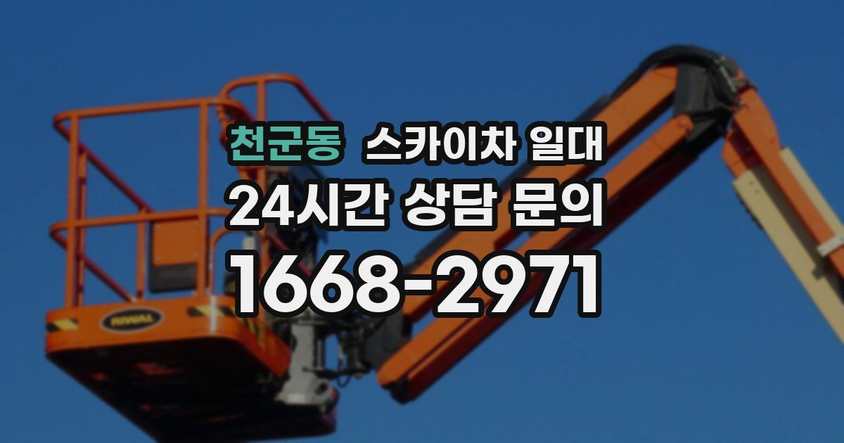천군동 스카이차 일대