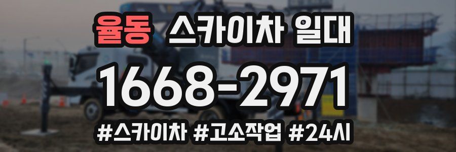 율동 스카이차 일대