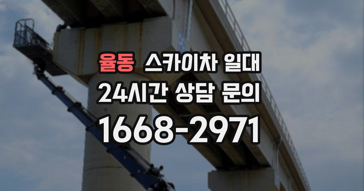 율동 스카이차 일대