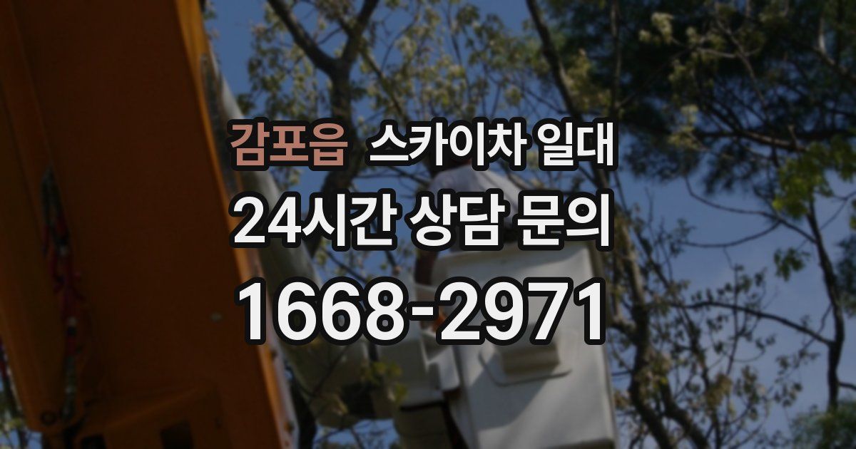 감포읍 스카이차 일대