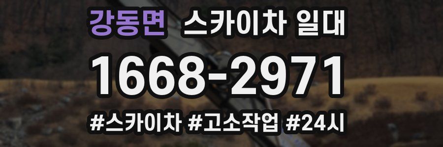 강동면 스카이차 일대