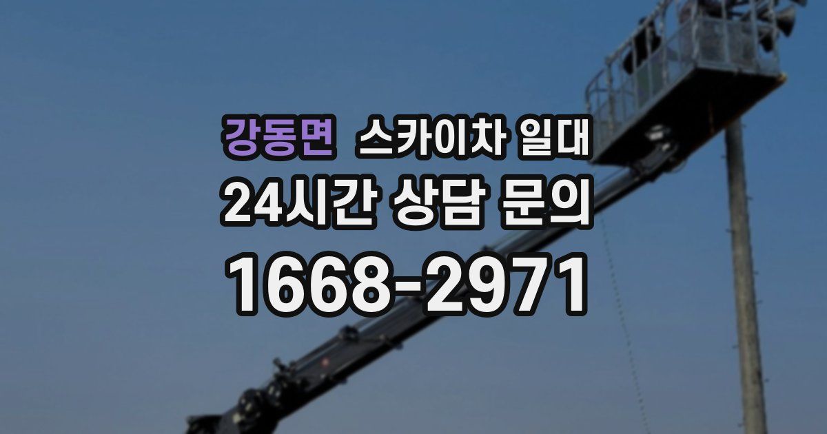 강동면 스카이차 일대