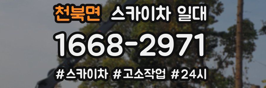 천북면 스카이차 일대