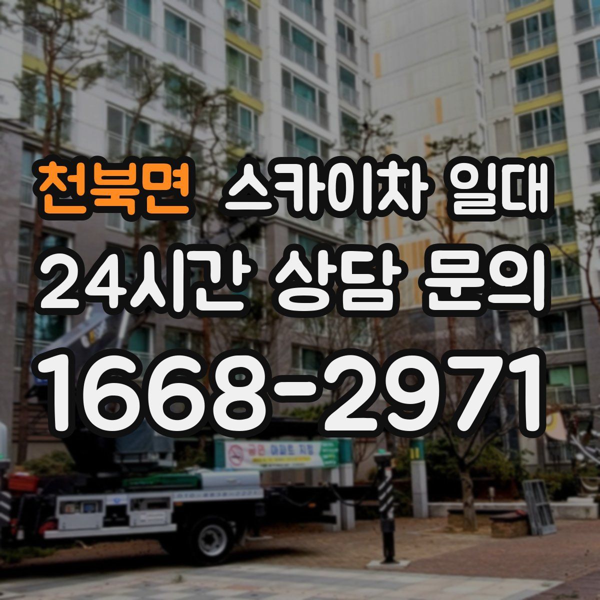 천북면 스카이차 일대